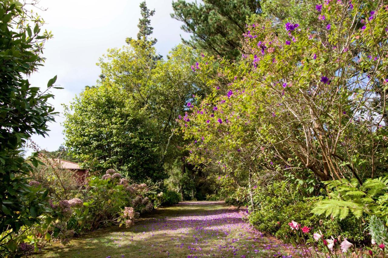 Quinta Santo Antonio Da Serra Esterno foto